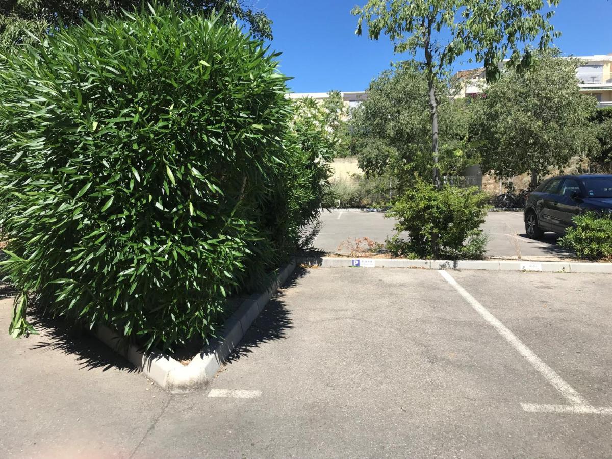 לה קיוטאט Les Terrasses Du Liouquet T2, Piscine , Parking , Mer A 150 M מראה חיצוני תמונה